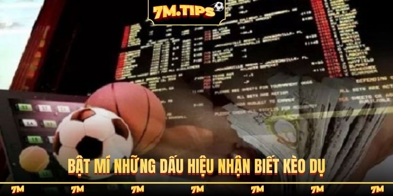 Bật mí những dấu hiệu nhận biết kèo dụ
